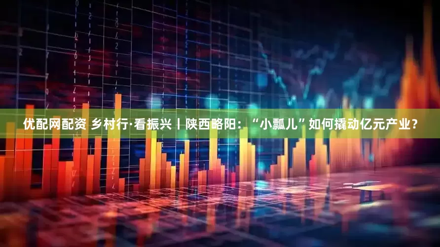 优配网配资 乡村行·看振兴丨陕西略阳：“小瓢儿”如何撬动亿元产业？
