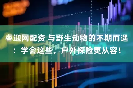 睿迎网配资 与野生动物的不期而遇：学会这些，户外探险更从容！