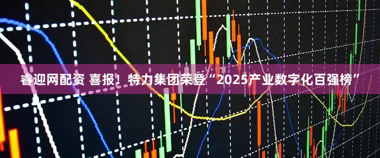 睿迎网配资 喜报！特力集团荣登“2025产业数字化百强榜”